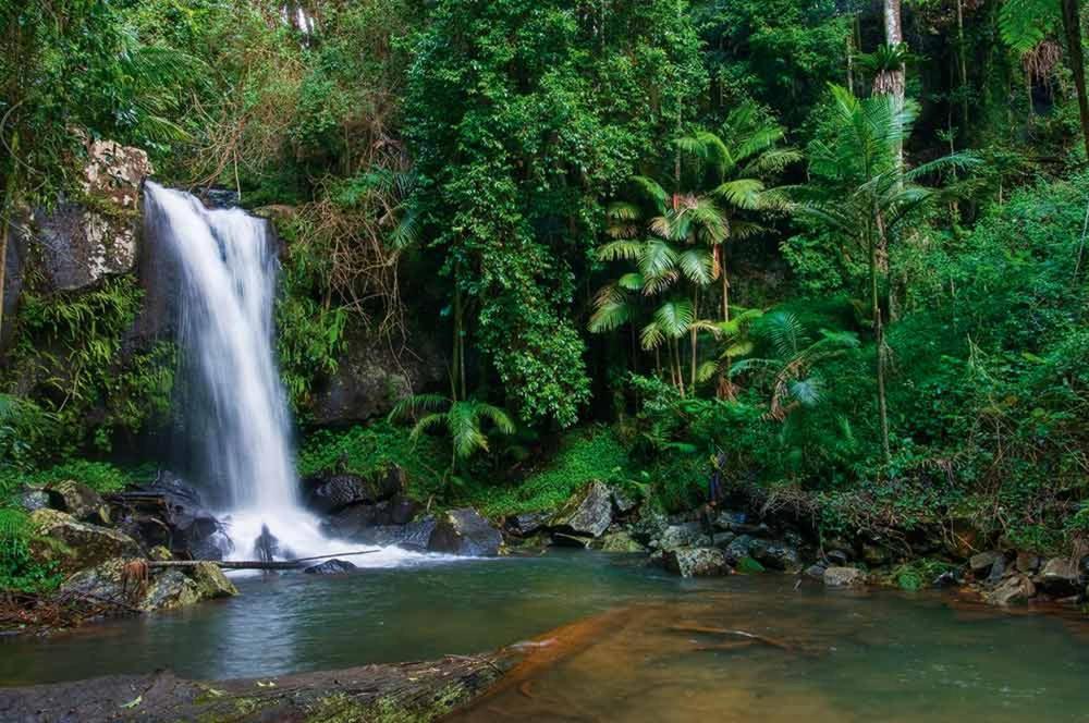 Guest house Mt Tamborine Stonehaven Manor 4*